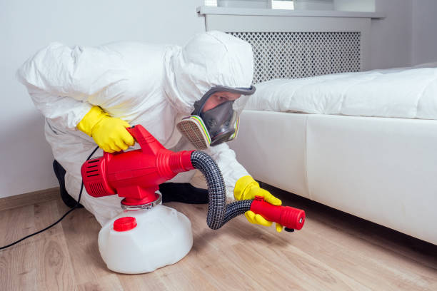 Best Fumigation Services  in Blue Grass, IA